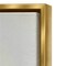 Stupell Industries Abstract Botanical Shape Collage Framed Floater Canvas Wall Art